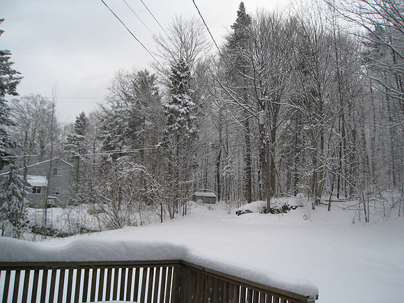 Vermont201001_075
