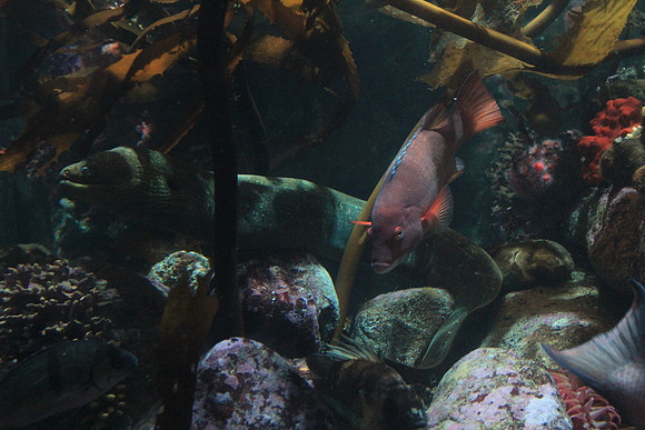 MontereyBay_ 157