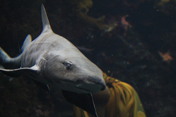 MontereyBay_ 120