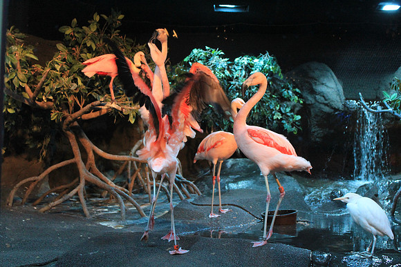 MontereyBay_ 201