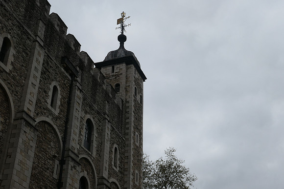 P1010909