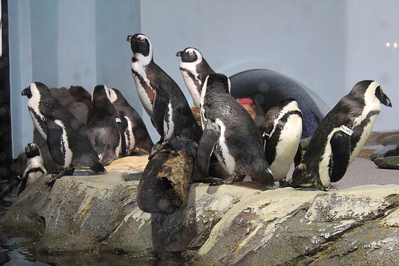 MontereyBay_ 056