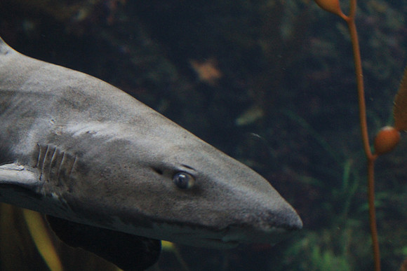 MontereyBay_ 121