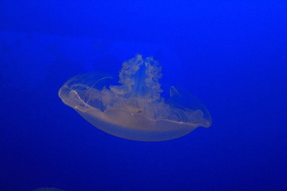 MontereyBay_ 180
