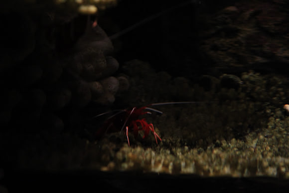 MontereyBay_ 280