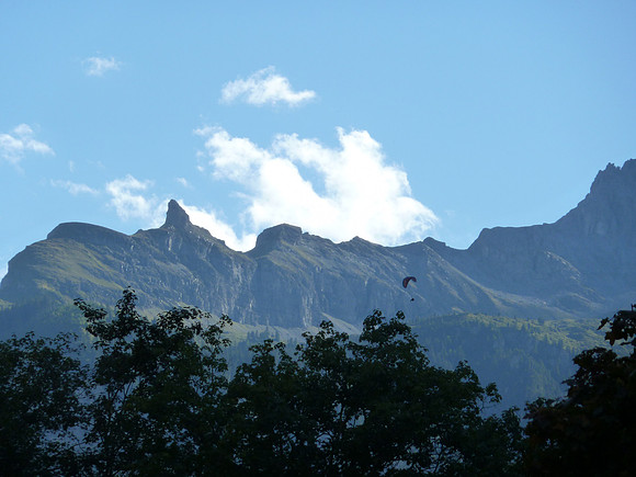 P1030906