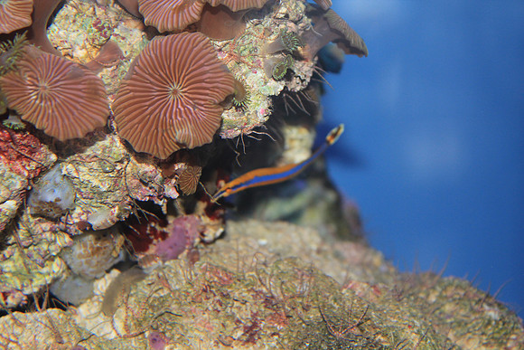 MontereyBay_ 240