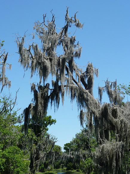 P1020927