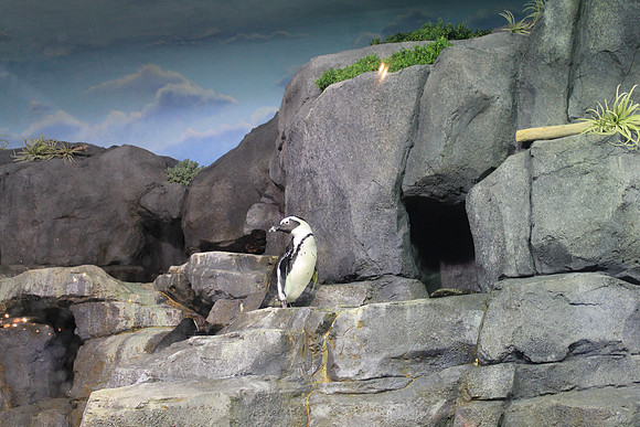 MontereyBay_ 058