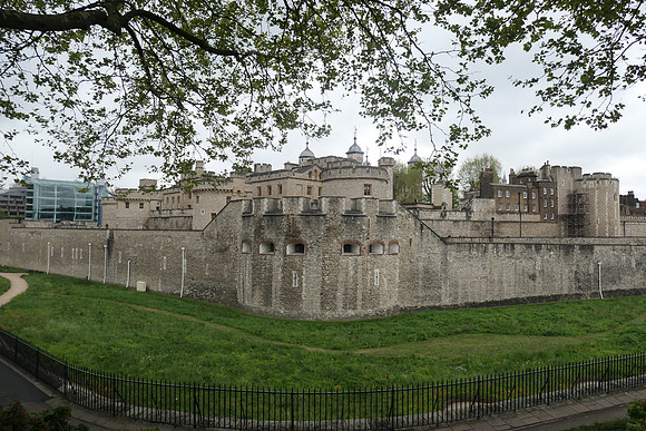 P1010845