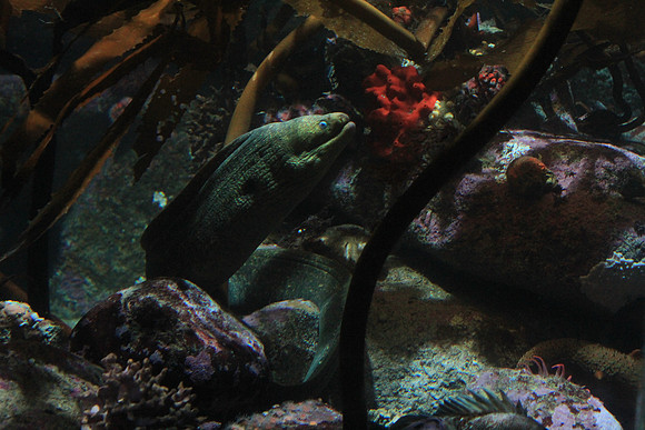 MontereyBay_ 142