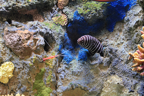 MontereyBay_ 048