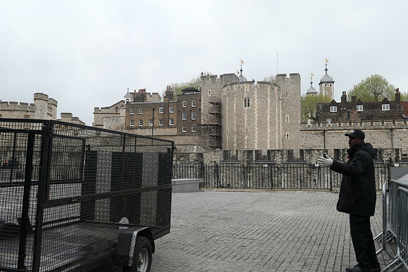 P1010846
