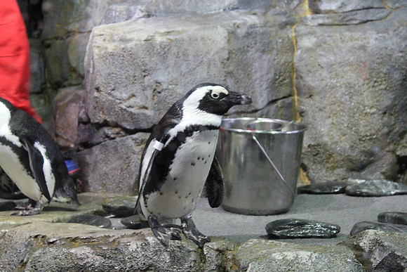 MontereyBay_ 055