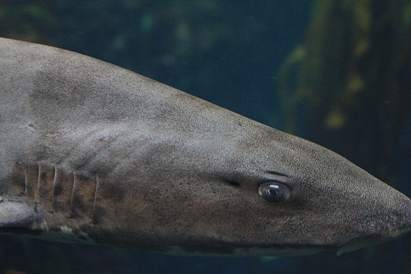 MontereyBay_ 122